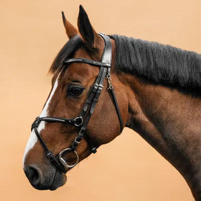 Заказать Уздечка кожаная Fouganza 580 Strass для лошадей и пони, черный –  цены, описание и характеристики в «CDEK.Shopping»