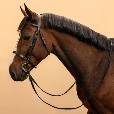 Уздечка и поводья Fouganza 100 для лошади, черный – заказать из-за рубежа в  «CDEK.Shopping»