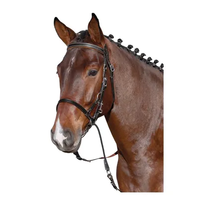 Sweethorse / Недоуздок FULL / упряжь / уздечка для лошади / конная амуниция  - купить с доставкой по выгодным ценам в интернет-магазине OZON (663998363)