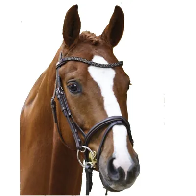 Заказать Уздечка кожаная Fouganza 580 Strass для лошадей и пони, черный –  цены, описание и характеристики в «CDEK.Shopping»