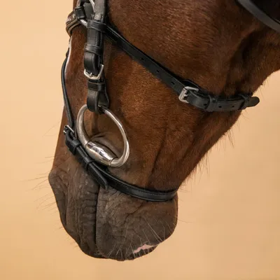 Классическая кожаная уздечка с поводьями для лошади, коб, Франция - купить  в Украине в конном магазин LUX