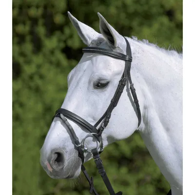 Уздечка для лошади, Star Diamond в комплекте с поводом купить с доставкой в  любую точку России | Недорого! | В наличии и под заказ - Компания «Horsever»