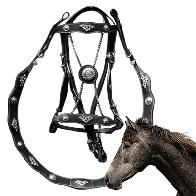 Уздечка для лошади - купить с доставкой по выгодным ценам в  интернет-магазине OZON (756310847)