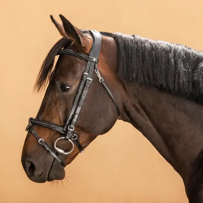Уздечка с прострочкой Fouganza 580 для лошади и пони, черный – заказать по  выгодной цене из-за рубежа в «CDEK.Shopping»