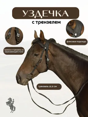 Sweethorse / Уздечка с трензелем и поводом для лошади - купить с доставкой  по выгодным ценам в интернет-магазине OZON (664356742)