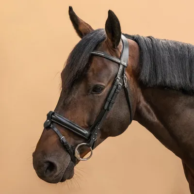 Мягкая нейлоновая уздечка для лошадей со съемным шлейфом высокой плотности  | AliExpress