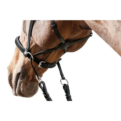 Уздечка для лошади RIDING WORLD \"MUSEROLLE COMBINE\" (EKKIA, Франция) -  купить с доставкой по выгодным ценам в интернет-магазине OZON (1078148109)