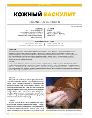 Кожный васкулит – тема научной статьи по ветеринарным наукам читайте  бесплатно текст научно-исследовательской работы в электронной библиотеке  КиберЛенинка