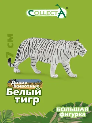 величественный и великолепный тигр в дикой природе, созданный с помощью  щедрого помощника Иллюстрация штока - иллюстрации насчитывающей кот,  развилки: 277250430