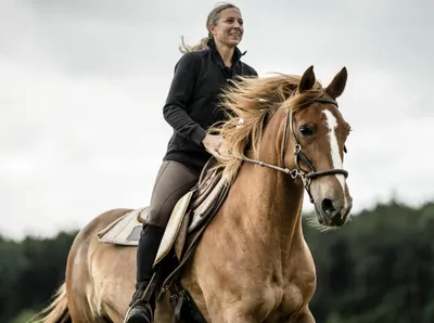 Полевая езда на лошади | Секреты обучения лошадей