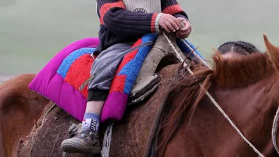 Всегда на коне: 96-летняя Елизавета II снова верхом, несмотря на проблемы  со здоровьем