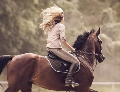 на фото девушка верхом на лошади в дикой природе, картинки верхом на  лошадях, лошадь, верховая езда фон картинки и Фото для бесплатной загрузки
