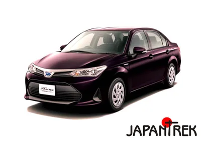 Модельный ряд Toyota Corolla Fielder и Toyota Corolla Axio привезти из  Японии под заказ - Mirai Auto