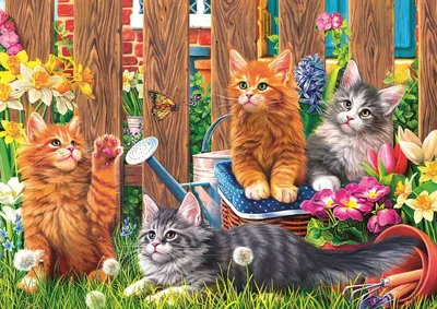 Весенний Котик | Пикабу