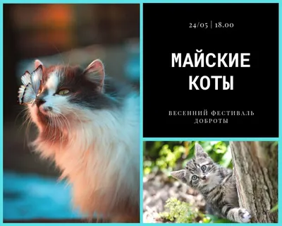 Купить Скетчбук \"Маврина. Весенний кот\" А5 в интернет-магазине  Третьяковской галереи