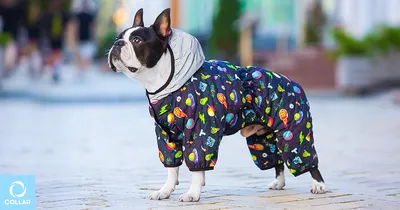 Вязаная одежда » Dogland - Одежда для Собак