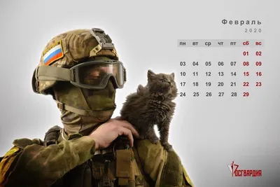 Вежливые люди + котики: в сети появился календарь про «вежливых людей» -  Лента новостей Крыма