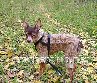 Зимняя вязаная одежда для собак, теплый джемпер, свитер для маленьких и  больших собак, вязаная крючком ткань, Джерси для собак | AliExpress