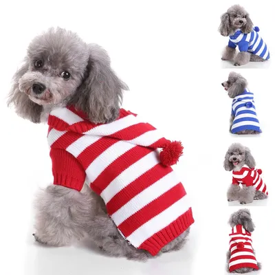 Вязаная одежда для собак! Вязаный свитер для собаки! Вязаная одежда для  собак своими руками - YouTube