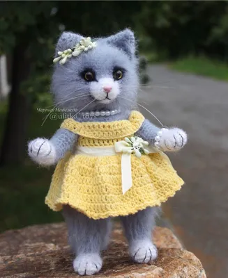 Вязаная кошка, игрушка кошка в желтом платье в интернет-магазине Ярмарка  Мастеров по цене 4000 ₽ – R8VSIRU | Амигуруми куклы и игрушки, Барнаул -  доставка по России