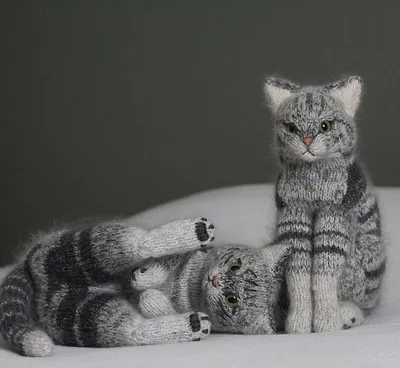 Вязаные котики удивительной реалистичности: рукодельный instagram недели —  BurdaStyle.ru