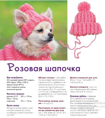 Вяжем питомцам милую розовую шапочку!) | Свитера для собак, Свитер для собак,  Собаки