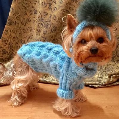 Зимние мягкие шапки для собак, теплая вязаная шапка для домашних собак,  ветрозащитная вязаная французская шапка для маленьких и средних собак –  лучшие товары в онлайн-магазине Джум Гик