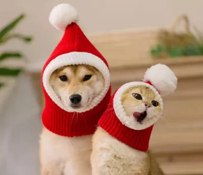 Домашние питомцы осенне-зимние шерстяные шапки для собак, кошек и кошек,  новогодние шапки - купить с доставкой по выгодным ценам в интернет-магазине  OZON (1280623735)
