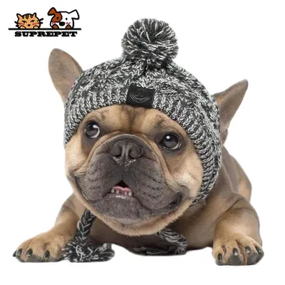 SUPREPET вязаная шапка для собак, французский головной убор для бульдога  чихуахуа, зимние шапки для собак, Теплый головной убор для собак, костюм  для щенков, аксессуары для кошек и домашних животных, новинка 2021 |  AliExpress