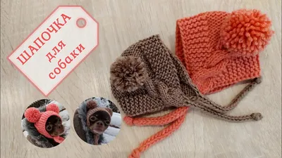 Балаклава шапка на собаку — цена 170 грн в каталоге Одежда для животных ✓  Купить товары для дома и быта по доступной цене на Шафе | Украина #84391190