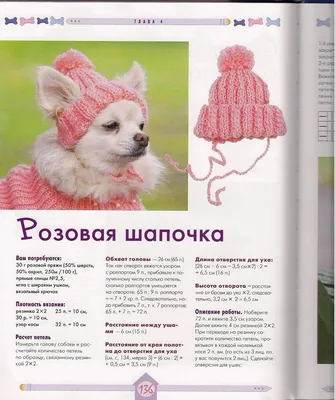 Шапка для собак мелких пород Шапка для той терьера Шапка для йорка Вязанная  шапка для собаки (ID#1490661320), цена: 150 ₴, купить на Prom.ua
