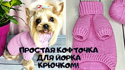 Вязаные вещи для собак мелких пород купить за 500 руб. на hady.ru