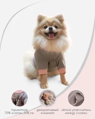 Вязаный свитер для собак ForMyDogs - Одежда для собак, аксессуары,  дождевики, корма, доставка!