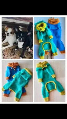 Свитер для собаки, зимняя теплая одежда для маленьких собак, милые вязаные  свитера с рисунком сердечек и алмазов, водолазка для щенка, пальто Чихуахуа  и Йорка | AliExpress
