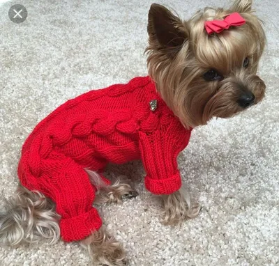 Зимний теплый свитер для щенка вязаные вещи для собак, одежда с двумя  ногами | AliExpress