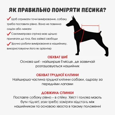 Свитер для собак Pretty Pet с Мишкой, крупная вязка с плюшевым воротом,  розовый (ID#1752525674), цена: 900 ₴, купить на Prom.ua