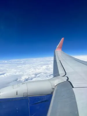 Самолет Air Astana вернулся в Алматы из-за возможного удара молнии -  10.08.2021, Sputnik Казахстан