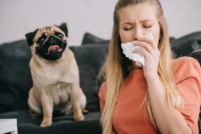 Что такое аллергия у собак и какая она бываетиииии
