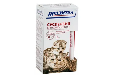 Дронтал для Кошек - Купить с Доставкой по Москве
