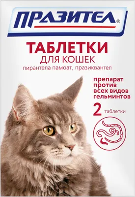 Купить Антигельминтик для кошек ELANCO Профендер (0,5-2,5кг) 0,35мл, 2  пипетки в Бетховен