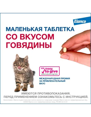 Prinocate Капли на холку от блох, клещей и гельминтов для котов весом 4 - 8  кг, 1 пипетка (4771560) - купить на Korm.com.ua