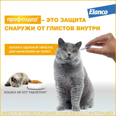 Таблетки Празител для кошек от круглых и ленточных глистов - купить с  доставкой по выгодным ценам в интернет-магазине OZON (159261330)