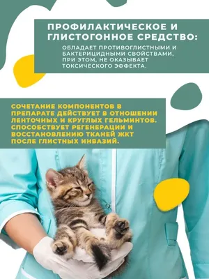 Гельминтозы у собак и кошек Мир хвостатых - журнал о домашних питомцах.