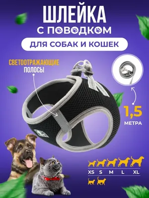 048 Шлейка \"Стильная\" - Puppy Angel в интернет магазине одежды для собак  GlamDog.Ru