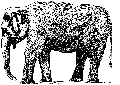 Всемирный день слонов - Инфографика ТАСС
