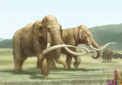 Рудольфский слон - самый большой из африканских» — создано в Шедевруме
