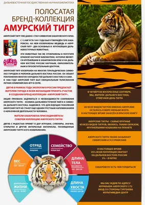Тигры: какими бывают – ZooPicture.ru