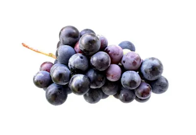 Купить виноград Мерседес крупный, 700 г, цены на Мегамаркет | Артикул:  100039728702