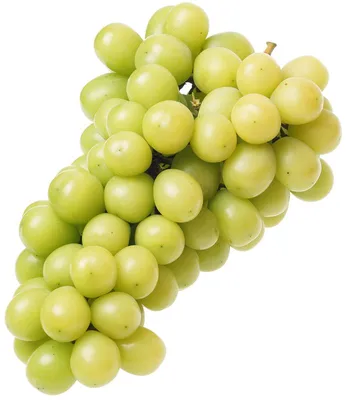 Lebazar - А вы знали, что в мире существует более 8 тысяч сортов винограда?  🍇 Виноград - единственное растение, для изучения которого создана целая  АМПЕЛОГРАФИЯ. В медицине даже есть такое понятие, как «