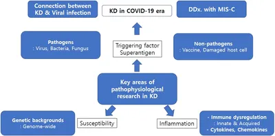 Frontiers | MicroRNAs in Kawasaki disease: An update on diagnosis, therapy  and monitoring